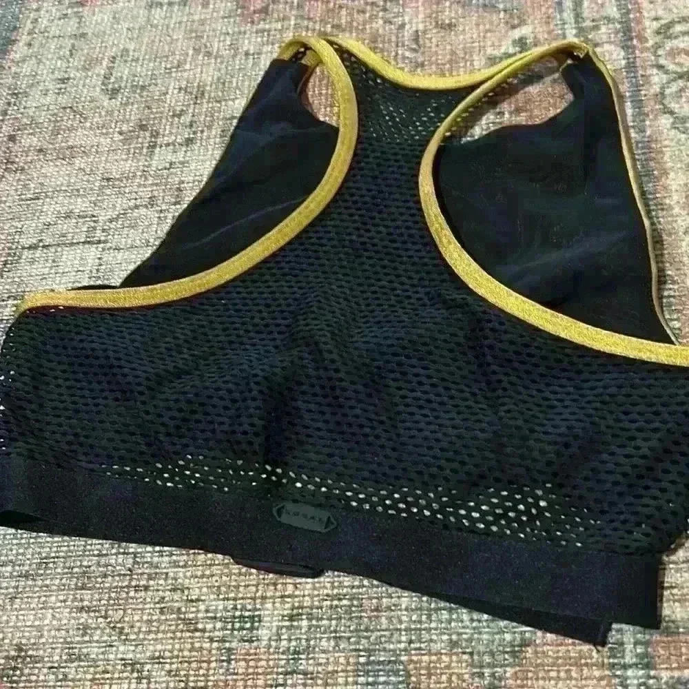 Koral sports bra